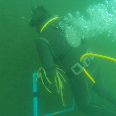 CURSO DE BUCEO COMERCIAL