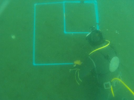 CURSO DE BUCEO COMERCIAL - Imagen 2
