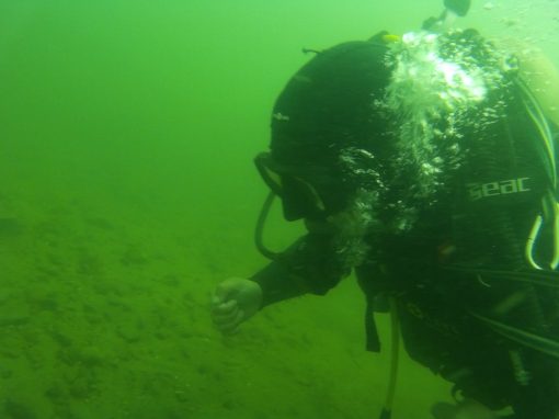 Bautizo Submarino o Iniciación en buceo - Imagen 6