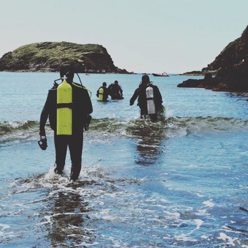 BUCEO GUIADO PARA CERTIFICADOS. - Imagen 6