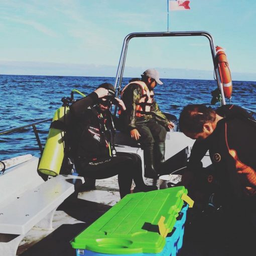 Bautizo Submarino o Iniciación en buceo - Imagen 4