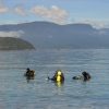 BUCEO GUIADO PARA CERTIFICADOS. - Imagen 7