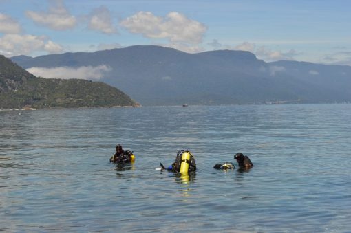 BUCEO GUIADO PARA CERTIFICADOS. - Imagen 7