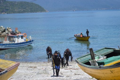 BUCEO GUIADO PARA CERTIFICADOS. - Imagen 5