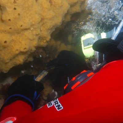 BUCEO GUIADO PARA CERTIFICADOS.