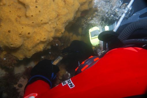 BUCEO GUIADO PARA CERTIFICADOS.