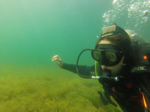 Curso de Buceo deportivo
