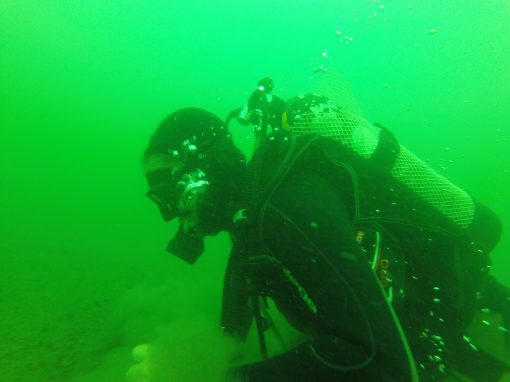 BUCEO GUIADO PARA CERTIFICADOS. - Imagen 2