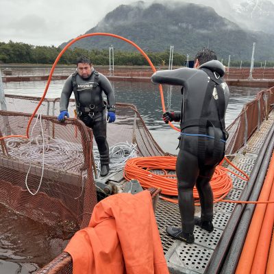 BUZO MARISCADOR INTERMEDIO